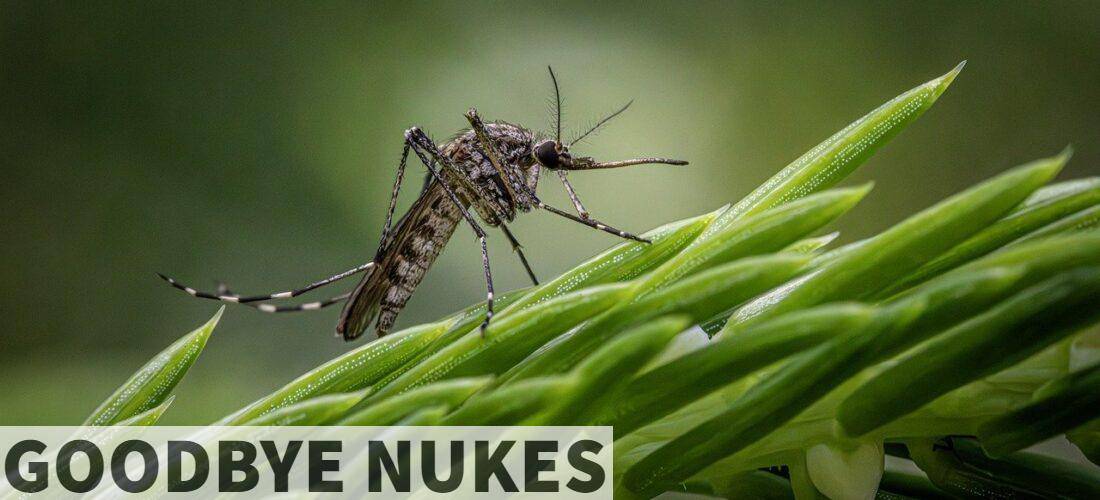 Cómo funcionan las mosqutieras magnéticas o imantadas